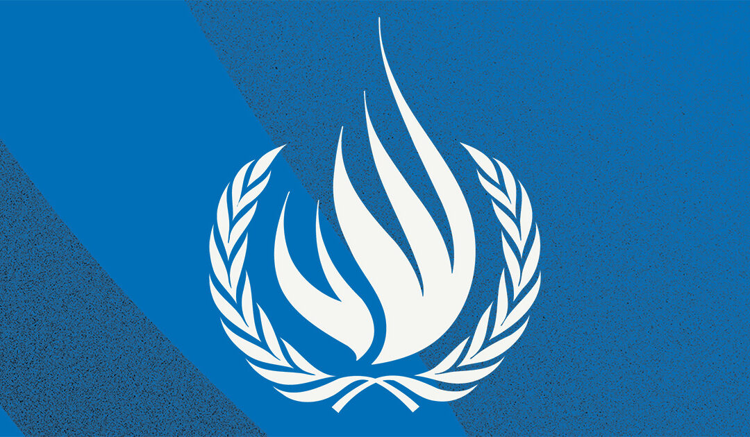 Mettre un terme au génocide en cours ou le voir mettre fin à la vie à Gaza : des experts de l’ONU affirment que les États sont confrontés à un choix décisif