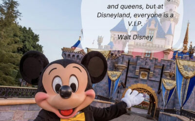 Après la culture de masse