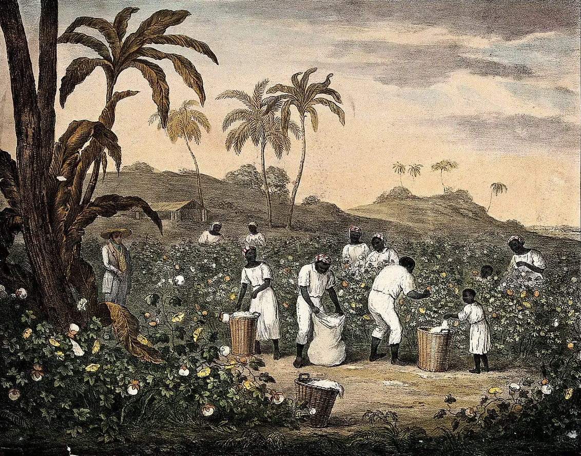 Couv – Plantationocène